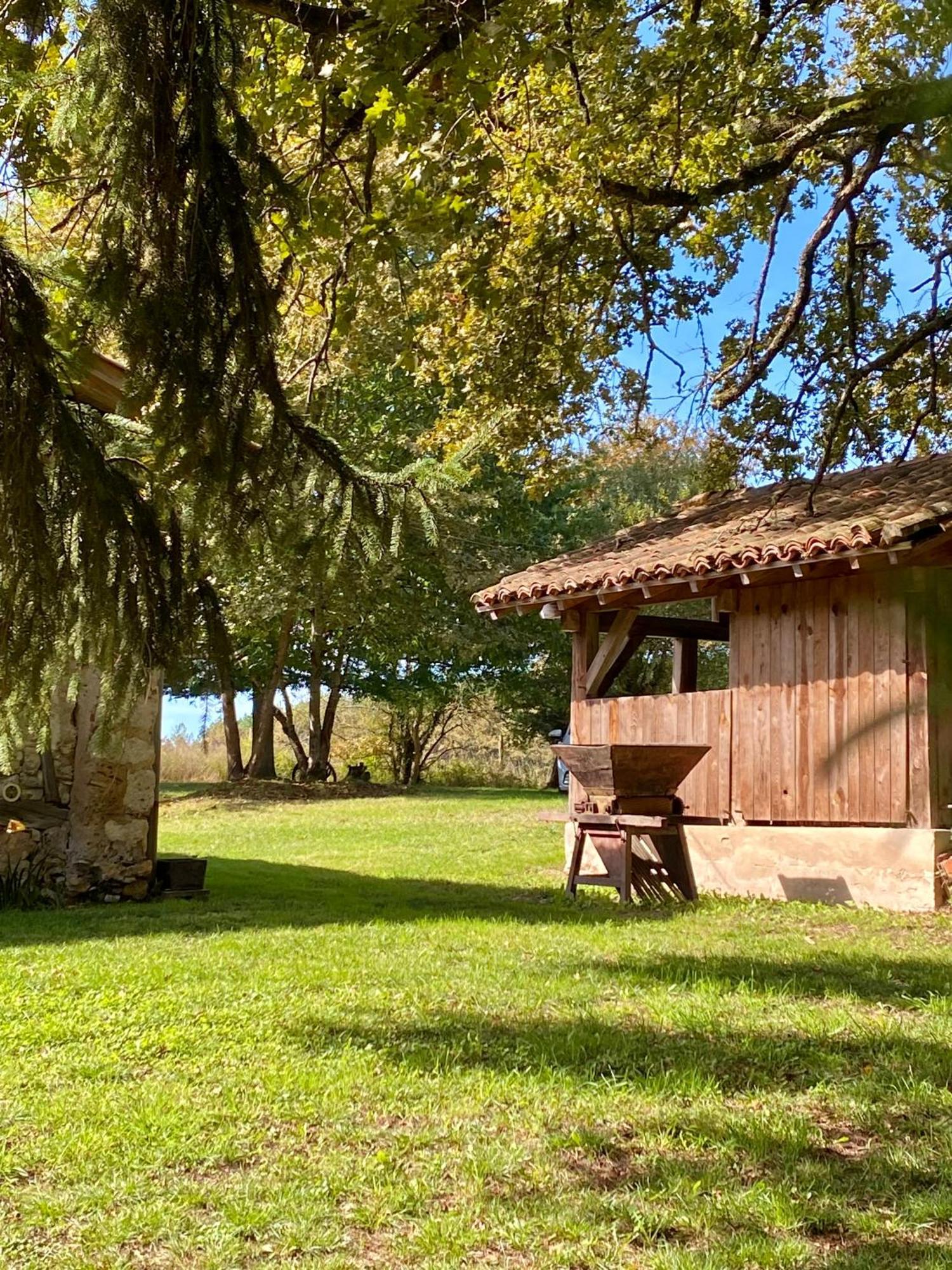 Bed and Breakfast Domaine Bourgade à Betbezer Extérieur photo