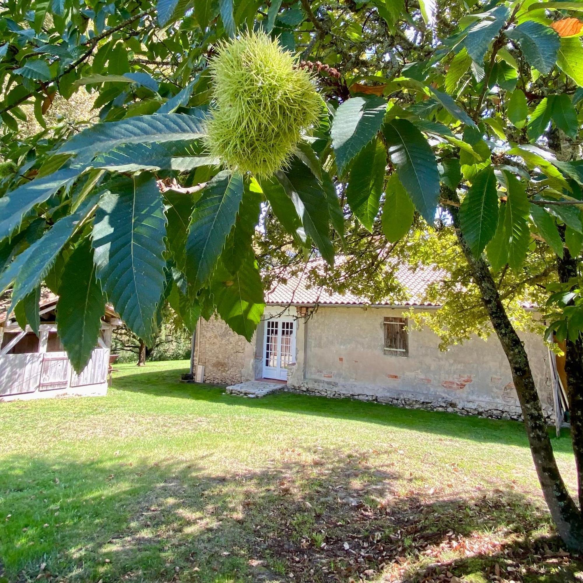 Bed and Breakfast Domaine Bourgade à Betbezer Extérieur photo